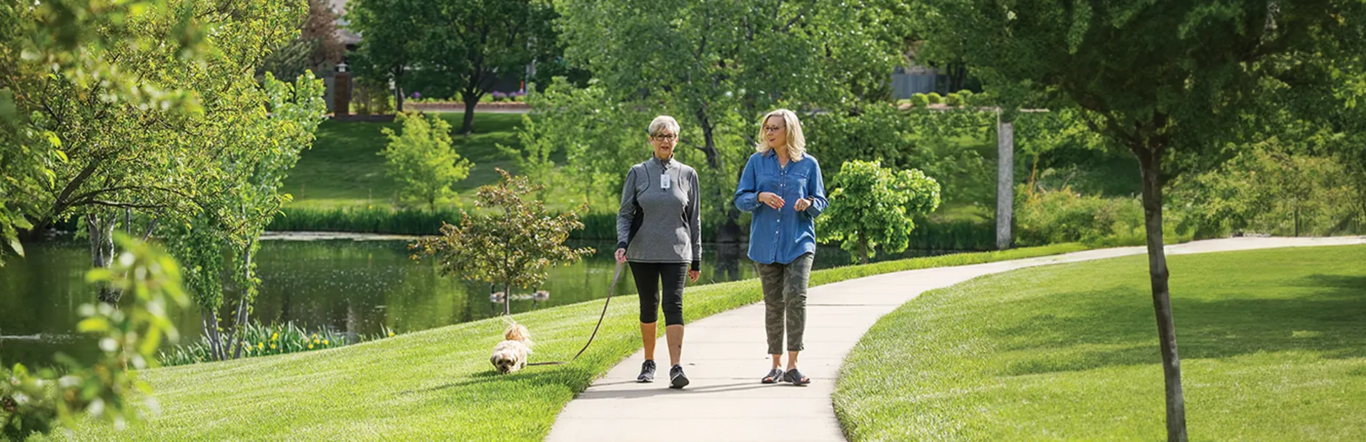 Residents walking a dog